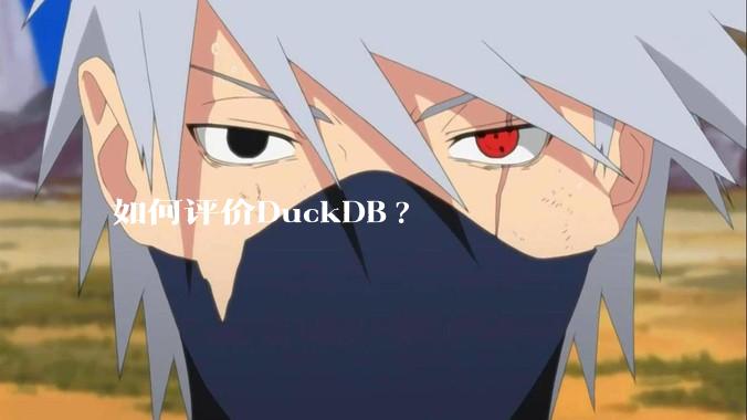 如何评价DuckDB?