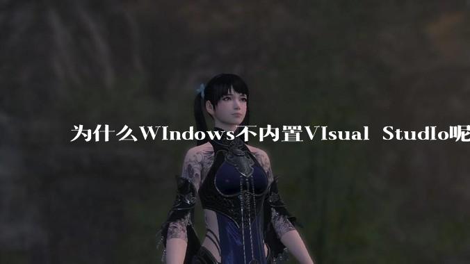 为什么Windows不内置Visual Studio呢?